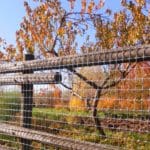 Boundary / Border Fence (2m x 50m - Millennium Fencing ~ Silver)